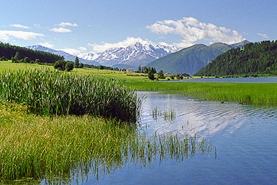 Italien, Trentino-Südtirol, Südtiroler Alpen,Vinschgau, Wasserspiegelung am Haidersee mit Ortler (3465 m) im Hintergrund