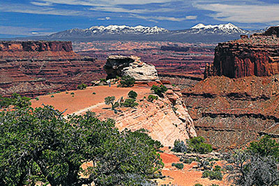 USA, Utah, Colorado Plateau,Canyonlands National Park, Am Shafer Canyon Overlook mit La Sal Mountains im Hintergrund