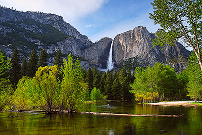 USA, Kalifornien, Sierra Nevada,Yosemite National Park, Am Ufer des Merced River mit Blick zu den Yosemite Falls