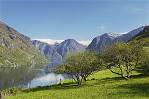 Norwegen, Sogn Og Fjordane, Sogn Og Fjordane, Ausblick zum Aurlandsfjord vom Otternes Heimatmuseum