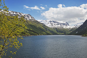 Norwegen, Hordaland, Hordaland, Am Westufer des Roldalsvatnet bei Hara