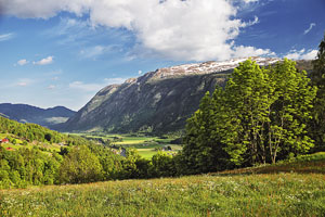 Norwegen, Telemark, Telemark, In der Telemark nördlich von Seljord