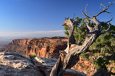 USA, Utah, Colorado Plateau,Canyonlands National Park, Sonnenaufgang am Buck Canyon Overlook