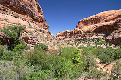 USA, Utah, Colorado Plateau,Castle Valley, Auf dem Scenic Byway 128 am Negro Bill Canyon