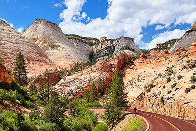 USA, Utah, Colorado Plateau,Zion National Park, Am Hwy 9 in der Checkerboard Mesa