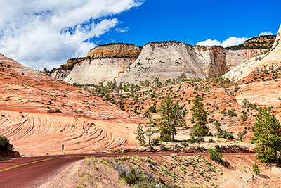 USA, Utah, Colorado Plateau,Zion National Park, Am Hwy 9 in der Checkerboard Mesa