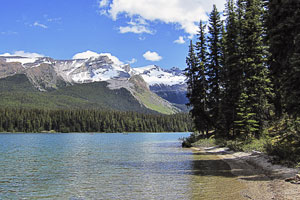 Kanada, Alberta, Rocky Mountains,Jasper National Park, Wanderung am Südwestufer des Maligne Lakes auf dem Moose Lake Loop entlang