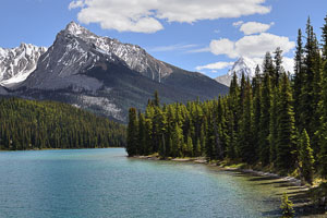 Kanada, Alberta, Rocky Mountains,Jasper National Park, Wanderung am Südwestufer des Maligne Lakes auf dem Moose Lake Loop entlang