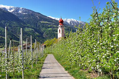 Italien, Trentino-Südtirol, Südtiroler Alpen,Vinschgau, Die Dorfkirche von Tschars