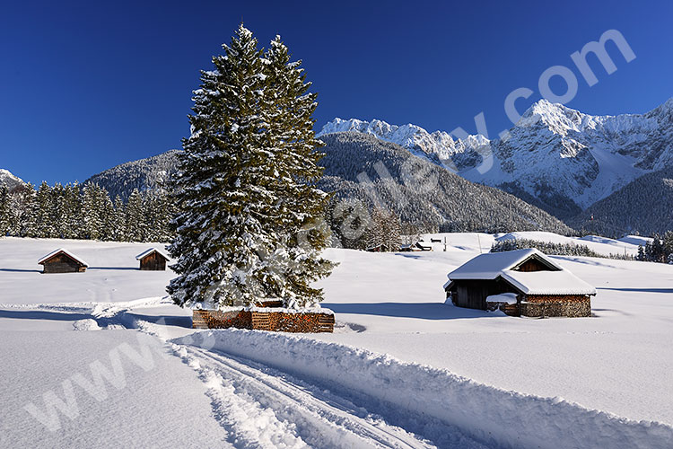 Deutschland, Bayern, Bayerische Alpen,Werdenfelser Land, Am Schmalsee mit Blick zum Karwendelgebirge