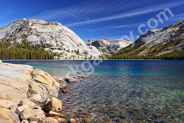 USA, Kalifornien, Sierra Nevada,Yosemite National Park, Am Ufer des Tenaya Lakes