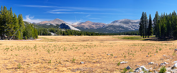 USA, Kalifornien, Sierra Nevada,Yosemite National Park, Panoramablick über die Tuolumne Meadows