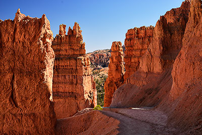 USA, Utah, Colorado Plateau,Bryce Canyon National Park, Wanderung auf dem Navajo Loop Trail am Sunset Point