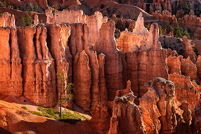 USA, Utah, Colorado Plateau,Bryce Canyon National Park, Sonnenaufgang am Navajo Loop Trail