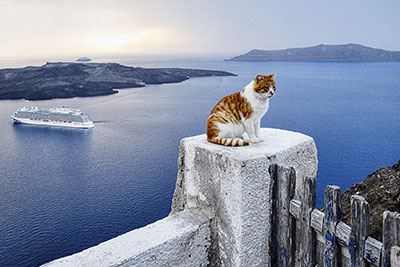 Griechenland, Südliche Ägäis, Kykladen,Santorin, Stilleben mit Katze mit Blick nach Oia und Nea Kameni