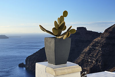 Griechenland, Südliche Ägäis, Kykladen,Santorin, Stilleben am Panoramaweg mit Blick in Richtung Skaros Felsen