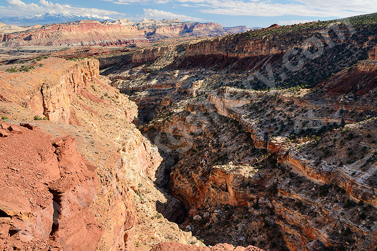 USA, Utah, Colorado Plateau,Capitol Reef National Park, Blick vom Sunset Point in den Sulphur Creek Canyon