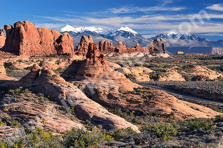 USA, Utah, Colorado Plateau,Arches National Park, Garden of Eden mit La Sal Mountains im Hintergrund