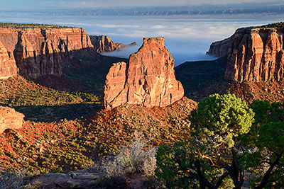 Fotogalerie USA, Colorado, Colorado Plateau,Colorado National Monument, Sonnenaufgang am Aussichtspunkt Grand View mit Blick zur Gesteinsformation Independence Monument