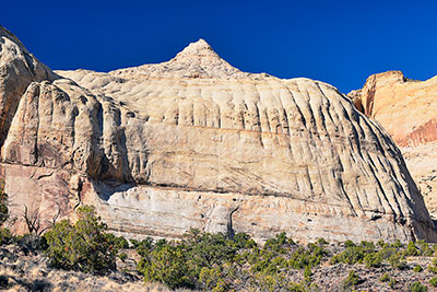 USA, Utah, Colorado Plateau,Capitol Reef National Park, Navajo Dome am Hickman Bridge Trail