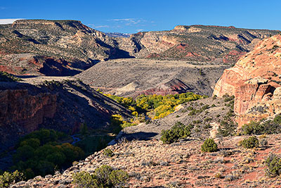 USA, Utah, Colorado Plateau,Capitol Reef National Park, Blick vom Hickman Bridge Loop Trail in Richtung Westen
