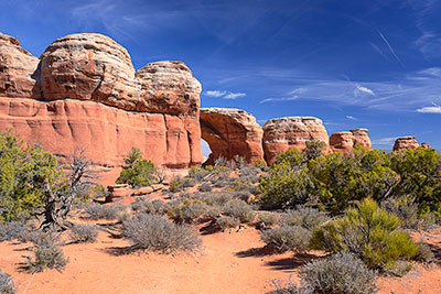 USA, Utah, Colorado Plateau,Arches National Park, Sandsteinfelsen am Broken Arch Trail