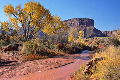 USA, Utah, Colorado Plateau,Castle Valley, Herbststimmung am Scenic Byway 128