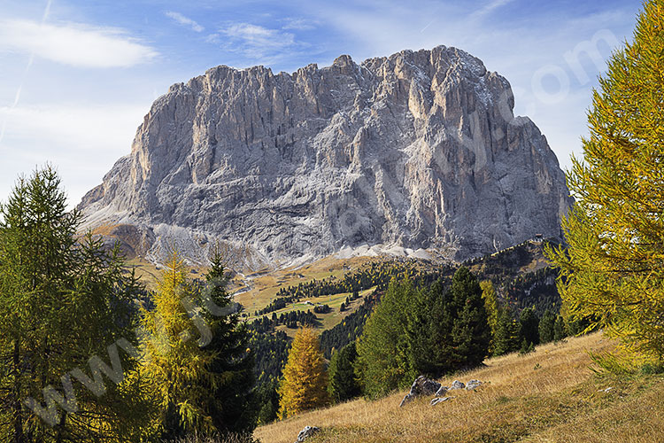 Italien, Trentino-Südtirol, Dolomiten,Grödner Tal, Herbststimmung unterhalb des Grödner Jochs mit Blick zum Langkofel