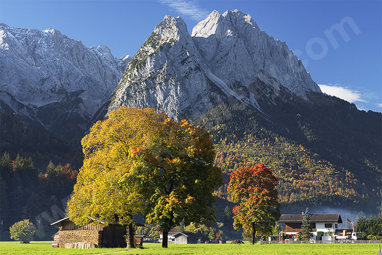 Deutschland, Bayern, Bayerische Alpen,Zugspitzregion, Laubfärbung am Hammersbacher Weg mit Blick zum Waxenstein am Zugspitzmassiv