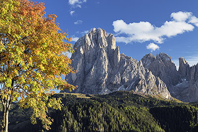 Italien, Trentino-Südtirol, Dolomiten,Grödner Tal, Herbststimmung auf dem Panoramaweg in St. Jakob mit Blick zum Langkofel