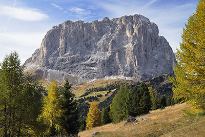 Italien, Trentino-Südtirol, Dolomiten,Grödner Tal, Herbststimmung unterhalb des Grödner Jochs mit Blick zum Langkofel