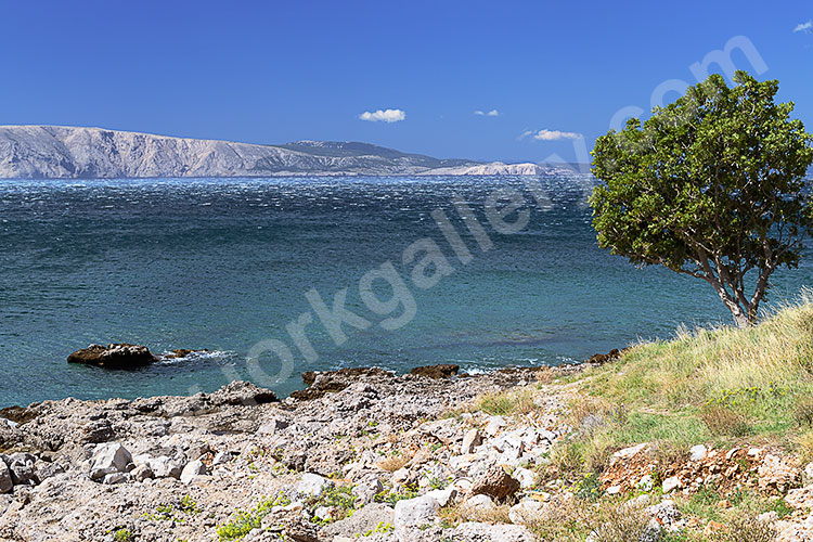 Kroatien, Primorje-Gorski kotar, Kvarner Bucht, Malerischer Küstenabschnitt beim Autocamp Kozica