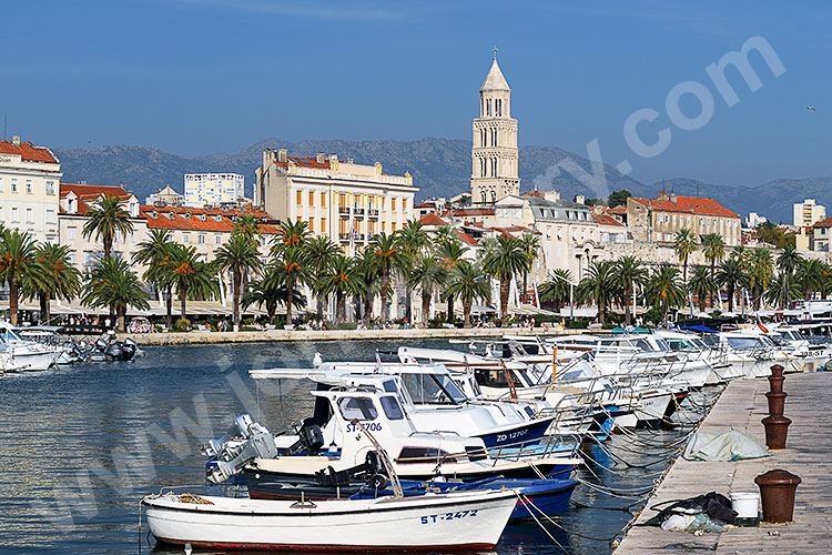 Kroatien, Split-Dalmatien, Dalmatien,Mitteldalmatien, Blick vom Hafen auf die palmengesäumte Uferpromenade Riva