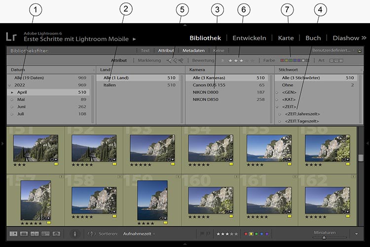 Fotoarchiv Adobe Lightroom Bibliotheksfilter